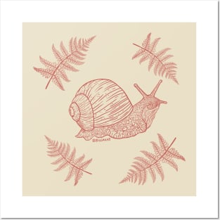 Snail with ferns (red) Posters and Art